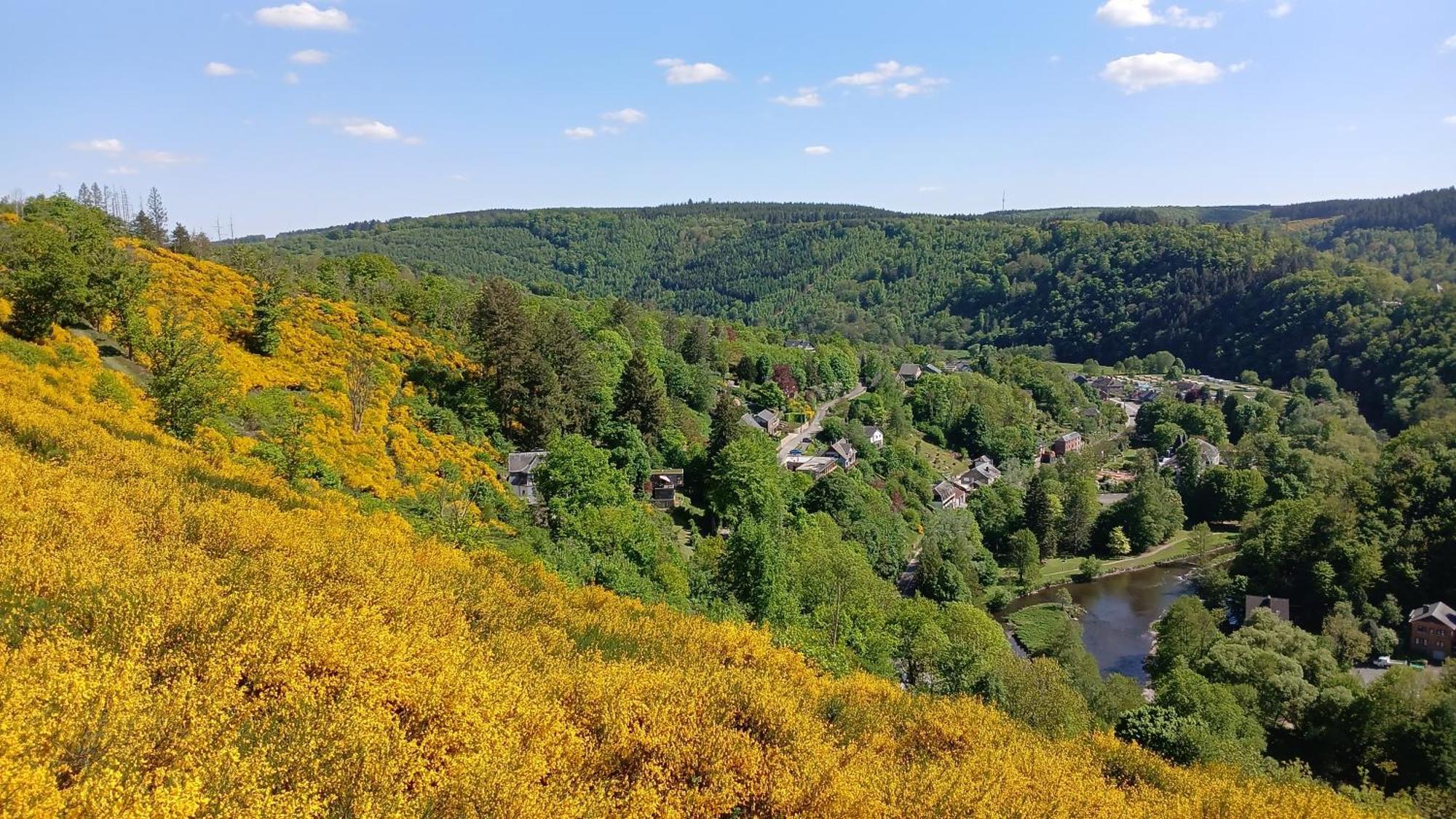 Apartament L'Abri La-Roche-en-Ardenne Zewnętrze zdjęcie